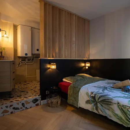 Spacieux Au Coeur D'angers Etage 2 - 6 Personnes * Angers