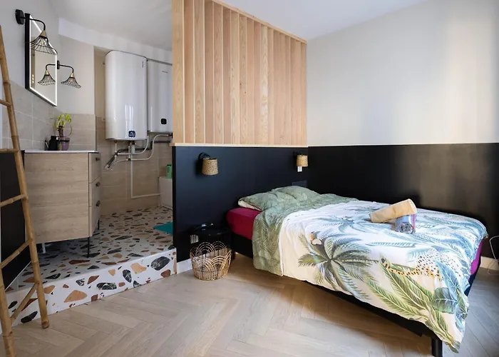 Daire Spacieux Au Coeur D'angers Etage 2 - 6 Personnes *